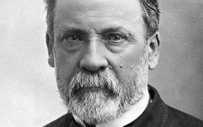 Bando per l'erogazione di due borse di studio annuali per le ricerche all'estero dell'Istituto Pasteur Italia [scadenza ore 12:00 30/05/2025]